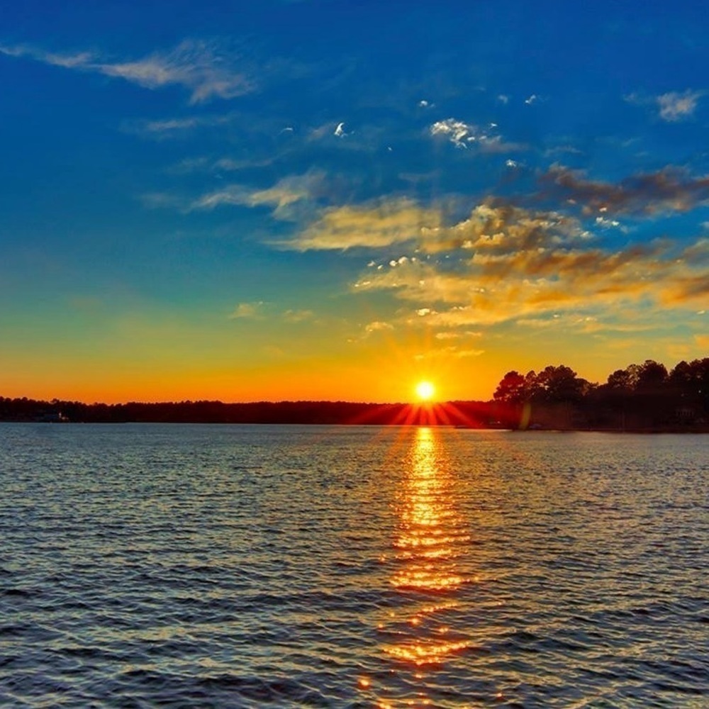 #8 Show Listing